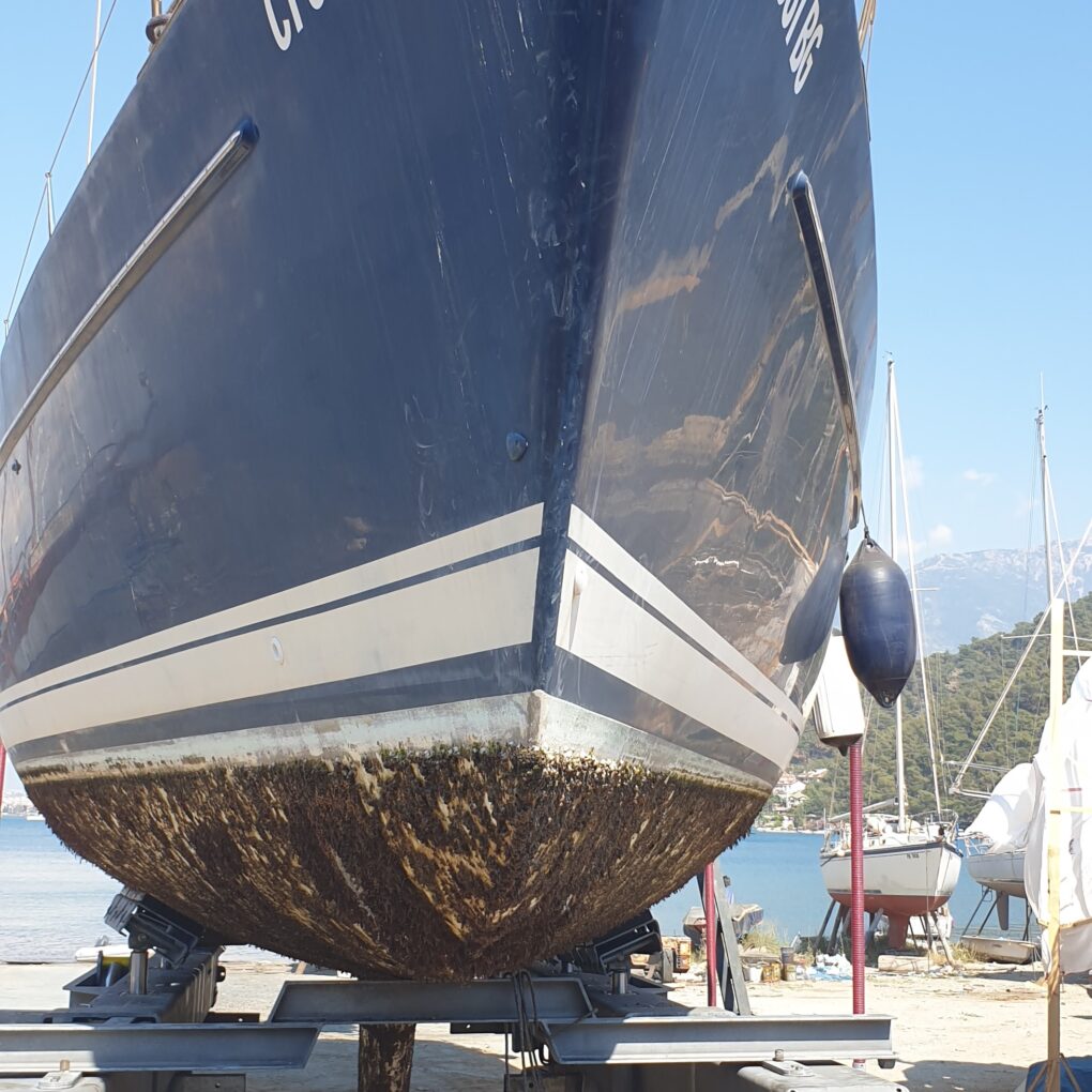 20210612_160208 (1) 20210612_160208 (1)